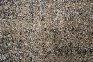 Rizzy Valencia VCA107 Beige Area Rug Style Image