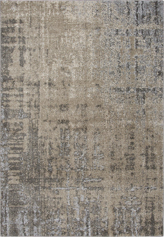 Rizzy Valencia VCA107 Beige Area Rug main image