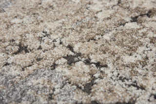 Rizzy Valencia VCA108 Cream Area Rug Detail Image