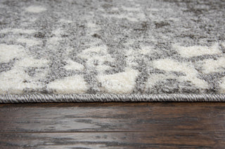 Rizzy Valencia VCA110 Ivory Area Rug Style Image