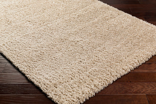 Surya Verde VDE-2301 Area Rug Corner Shot