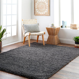 Surya Verde VDE-2303 Area Rug Room Scene Feature