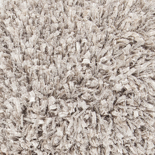 Chandra Vega VEG-40501 Silver Area Rug Close Up