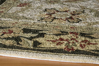 Momeni Veranda VR-03 Ivory Area Rug Corner Shot