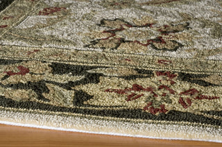 Momeni Veranda VR-03 Ivory Area Rug Closeup