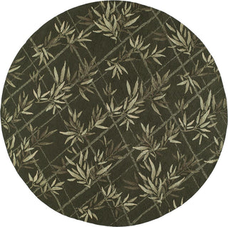 Momeni Veranda VR-04 Green Area Rug Closeup