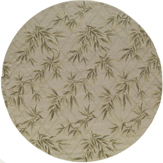 Momeni Veranda VR-04 Ivory Area Rug Closeup