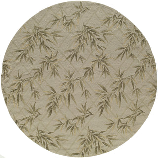 Momeni Veranda VR-04 Ivory Area Rug Close up