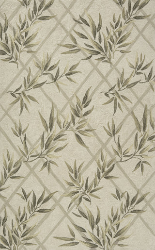 Momeni Veranda VR-04 Ivory Area Rug Main