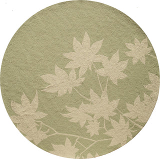 Momeni Veranda VR-17 Sage Area Rug Closeup