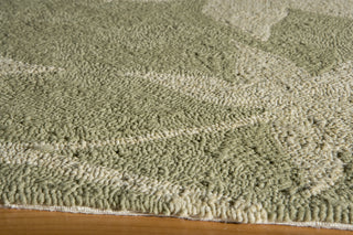 Momeni Veranda VR-17 Sage Area Rug Closeup