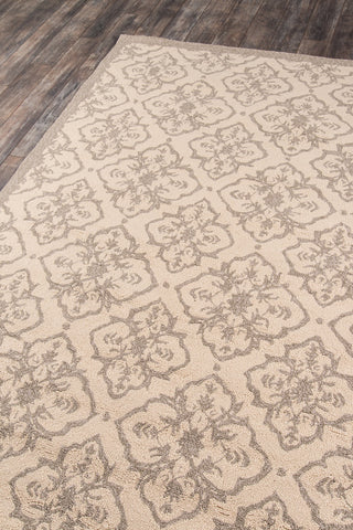 Momeni Veranda VR-22 Taupe Area Rug Corner Shot