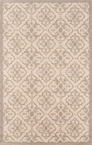 Momeni Veranda VR-22 Taupe Area Rug main image