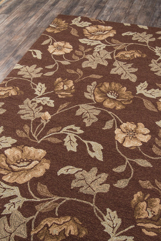 Momeni Veranda VR-24 Brown Area Rug Corner Shot