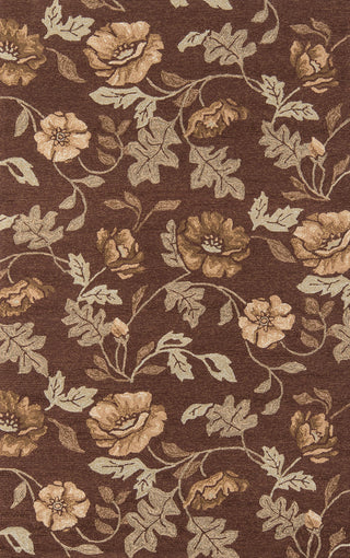 Momeni Veranda VR-24 Brown Area Rug main image