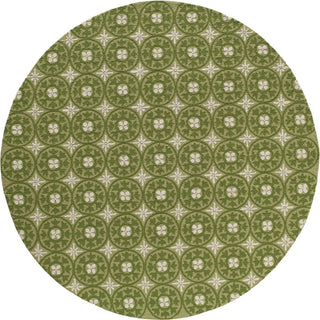 Momeni Veranda VR-26 Grass Area Rug Closeup