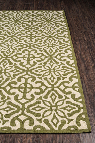 Momeni Veranda VR-59 Green Area Rug Corner Image Feature