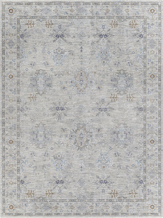 Surya Virginia VGN-2300 Area Rug Main Image