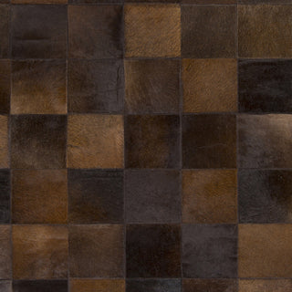 Surya Vegas VGS-3001 Chocolate Area Rug Sample Swatch