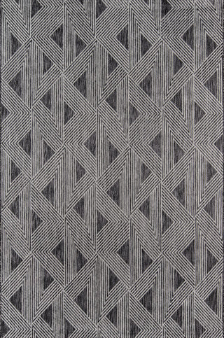 Momeni Villa VI-06 Charcoal Area Rug by Novogratz main image