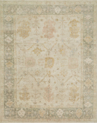 Loloi Vincent VC-02 Stone/Storm Area Rug Main Image