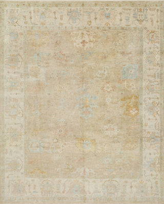 Loloi Vincent VC-03 Dune/Stone Area Rug Main Image