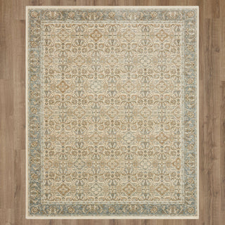 Karastan Divina Virtuous Grey Area Rug Main Image