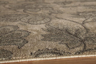 Momeni Vista VA-05 Beige Area Rug Corner Shot