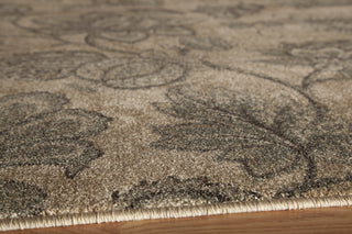 Momeni Vista VA-05 Beige Area Rug Closeup