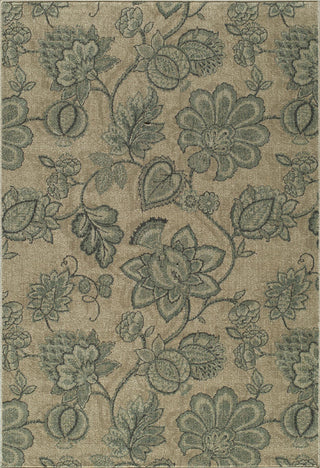 Momeni Vista VA-05 Beige Area Rug 