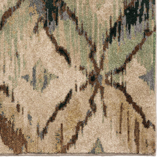 Orian Rugs Vivacious Primera Beige Area Rug Close Up