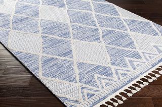 Surya Valencia VLC-2302 Area Rug Corner Shot