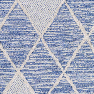 Surya Valencia VLC-2302 Area Rug Swatch