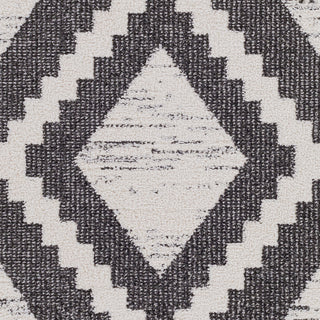 Surya Valencia VLC-2303 Area Rug Swatch