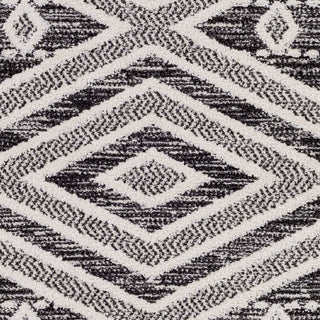 Surya Valencia VLC-2304 Area Rug Swatch