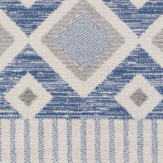 Surya Valencia VLC-2311 Area Rug Swatch