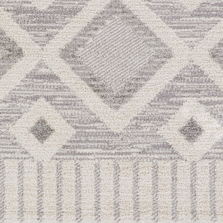 Surya Valencia VLC-2312 Area Rug Swatch