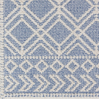 Surya Valencia VLC-2314 Area Rug Swatch