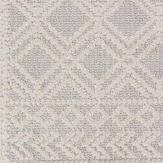 Surya Valencia VLC-2315 Area Rug Swatch