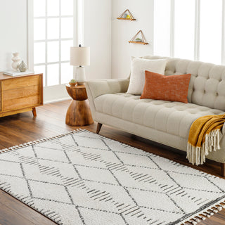 Surya Valencia VLC-2316 Area Rug Room Scene Feature