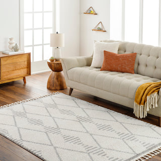 Surya Valencia VLC-2318 Area Rug Room Scene Feature