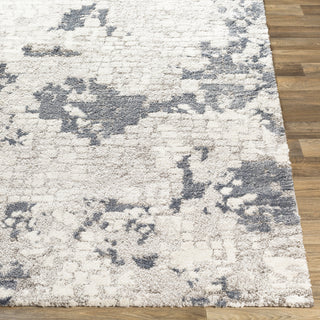 Livabliss Venice VNE-2300 Area Rug