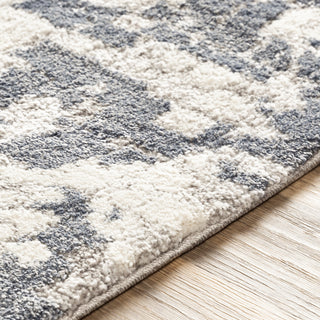 Livabliss Venice VNE-2300 Area Rug