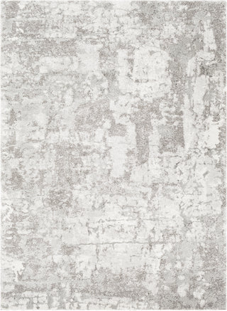 Surya Venice VNE-2305 Area Rug main image