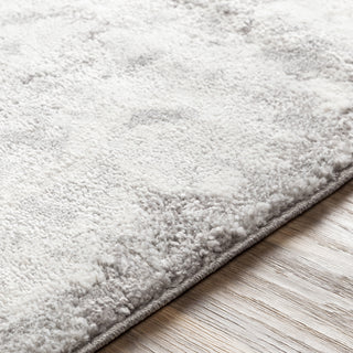 Livabliss Venice VNE-2305 Area Rug