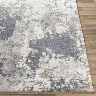 Livabliss Venice VNE-2306 Area Rug