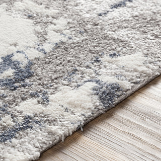 Livabliss Venice VNE-2306 Area Rug