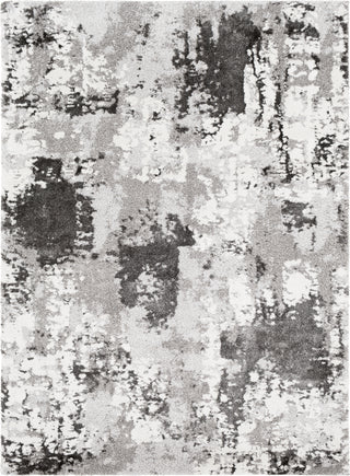 Surya Venice VNE-2308 Area Rug main image