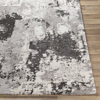 Livabliss Venice VNE-2308 Area Rug