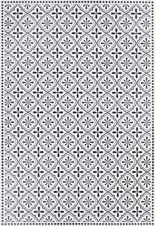 Surya Vinilo VNL-2305 Area Rug main image